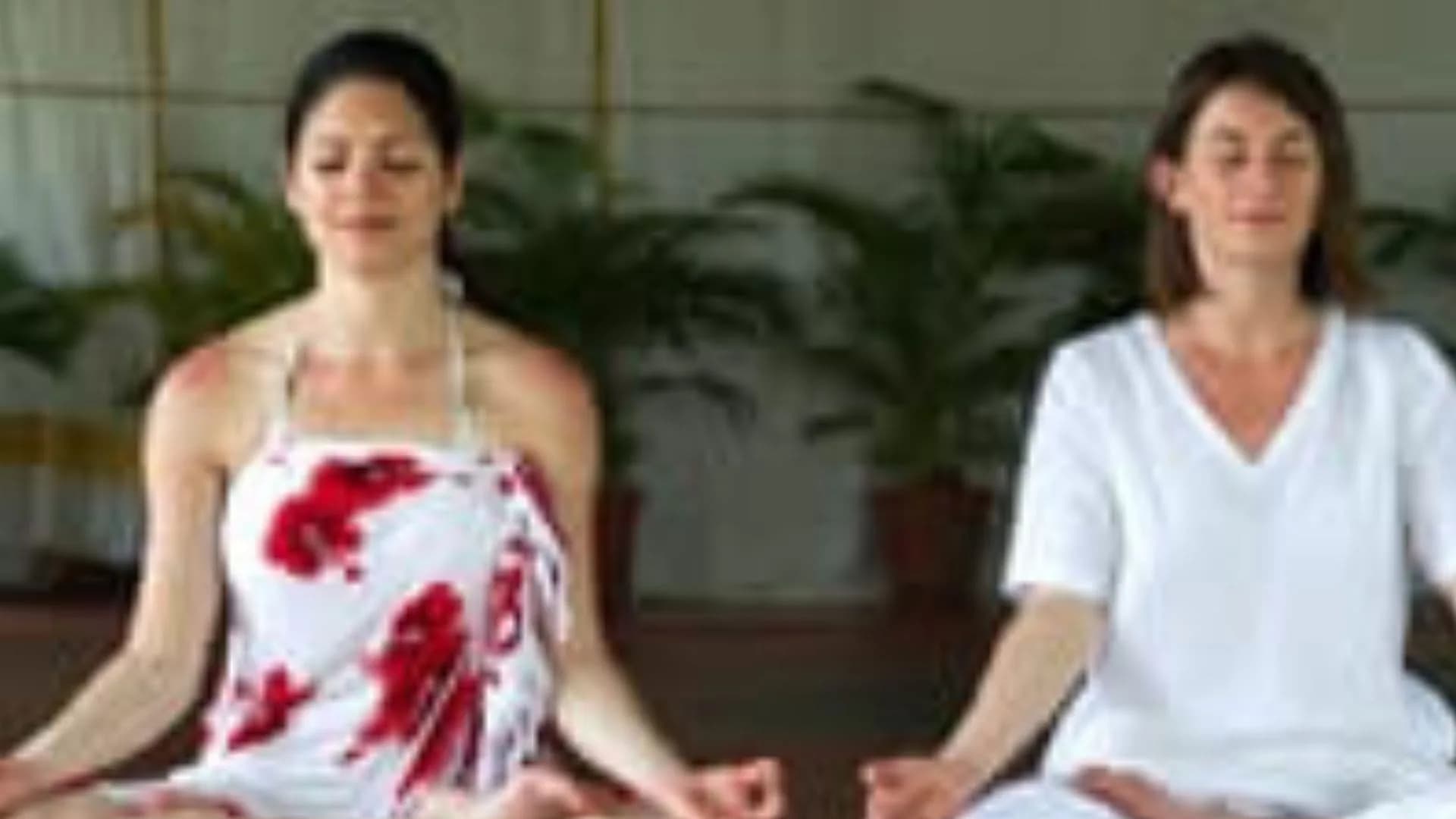 Somatheeram Ayurveda Village wellness destination