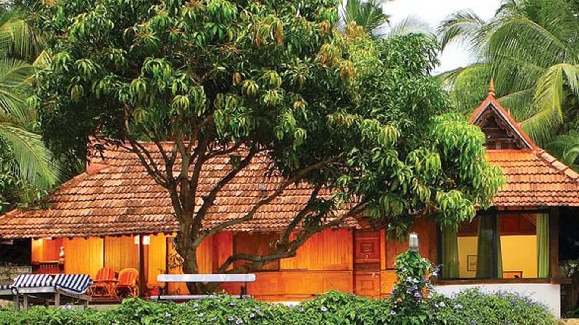 The Nest accommodation